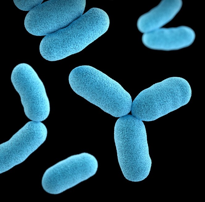 Benchmarking de tratamientos antimicrobianos Benchmarking de tratamientos antimicrobianos