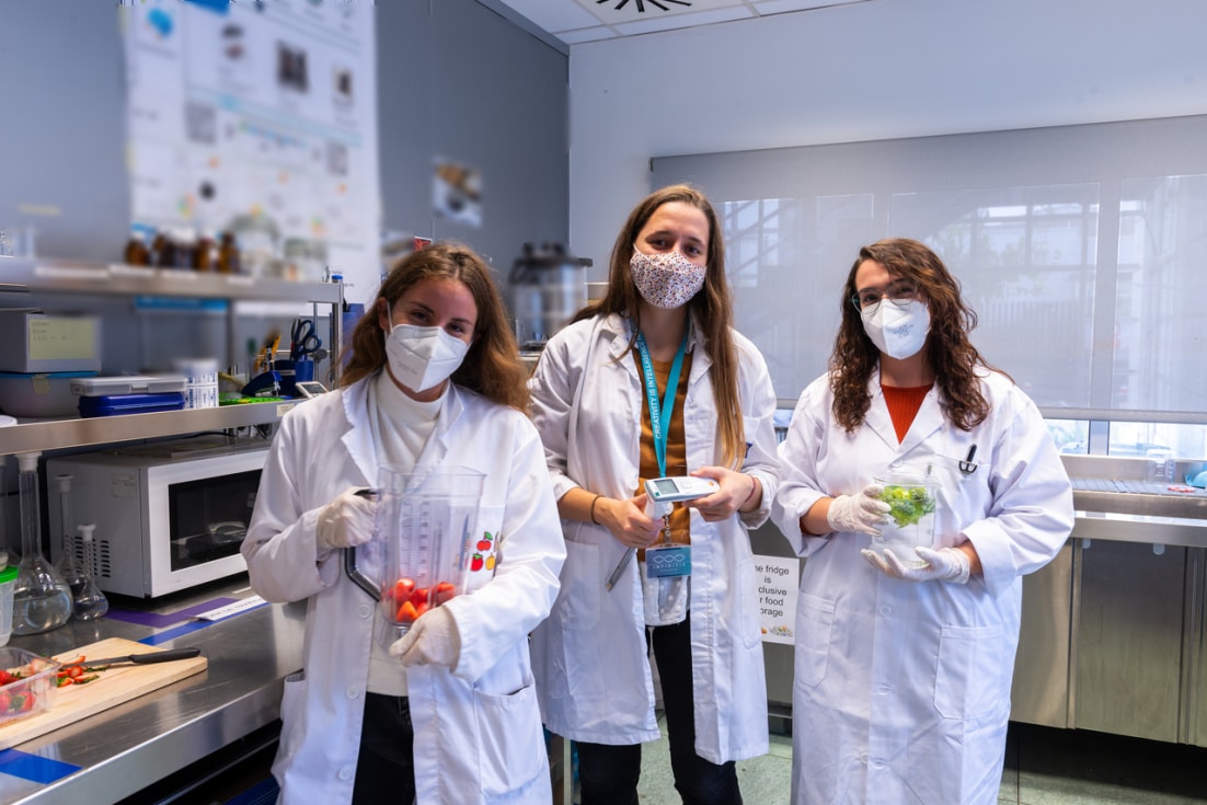 La ingeniería, ciencia capaz de mejorar la calidad de los alimentos La ingeniería, ciencia capaz de mejorar la calidad de los alimentos