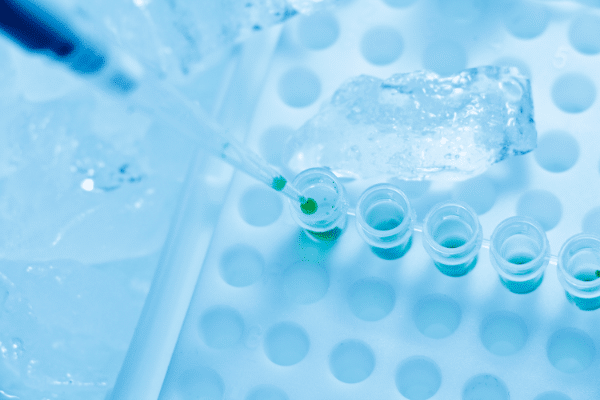 Molecular biology: definition and applications Molecular biology: definition and applications