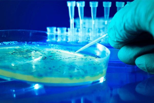 Microbiological analyses: What are they for? Microbiological analyses: What are they for?