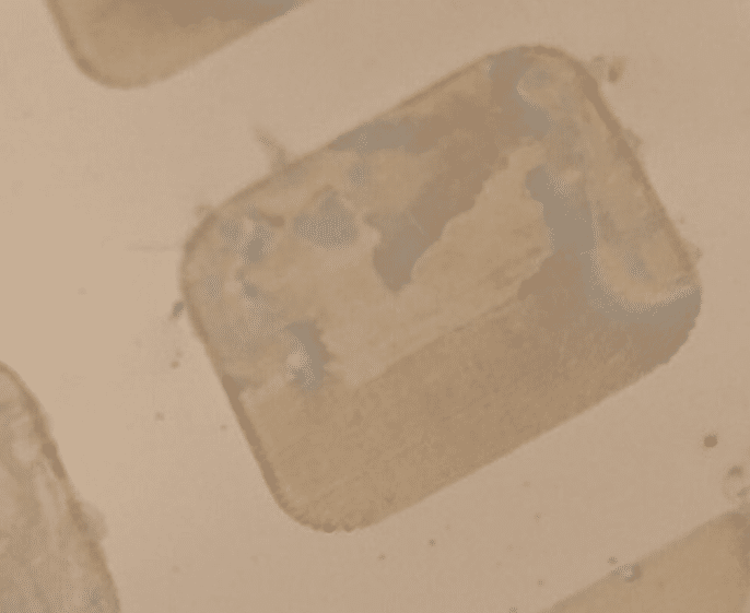 Casos de Éxito Detalle microscópico de zonas de marcado láser en material metálico tras un ensayo de corrosión acelerada, donde se observan signos de degradación superficial.