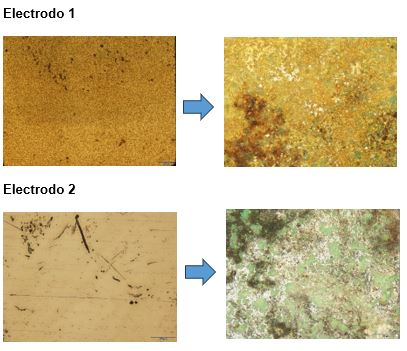 Microdurómetro Electrodes