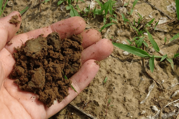 Biodegradability Compostability, and Recyclability Testing