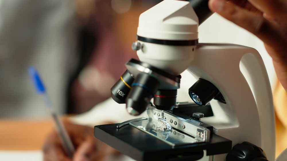 Análisis de agujas metálicas en lotes anómalos para optimizar su detección en línea de producción Estudio de agujas metálicas mediante técnicas de caracterización y análisis elemental para detectar lotes defectuosos en producción.