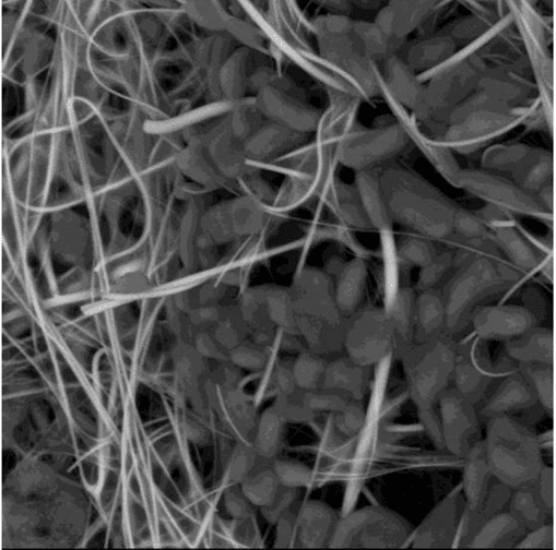 Reverse engineering and contaminant analysis in air filters to prevent premature wear SEM image of industrial air filter media showing metallic particles and contaminants analyzed to investigate premature wear.