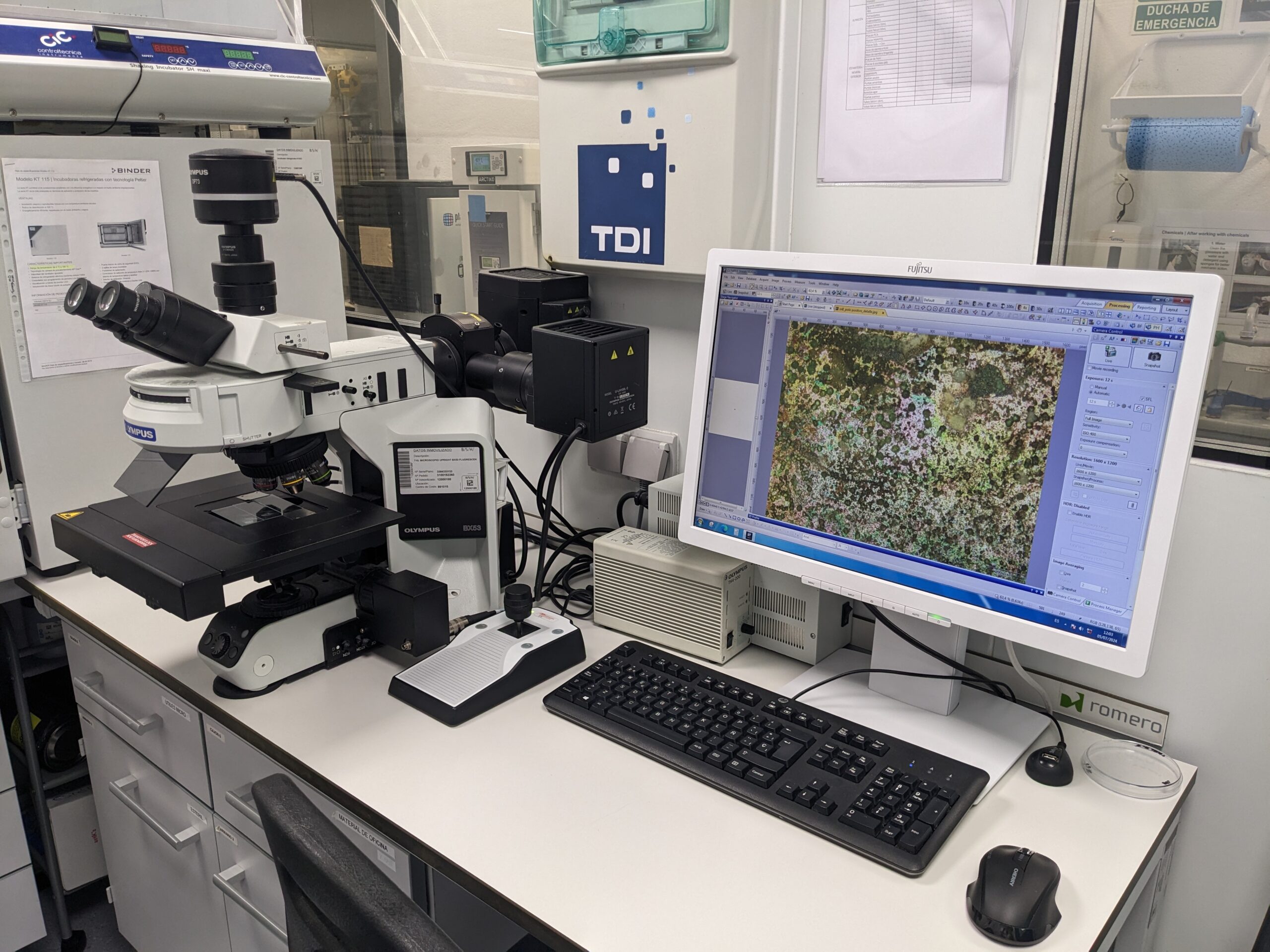 Optical Microscope Optical Microscope