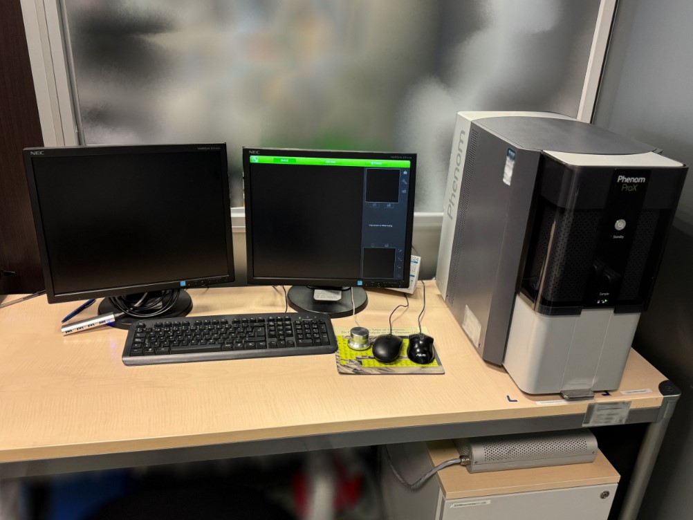 Scanning Electron Microscope (SEM)