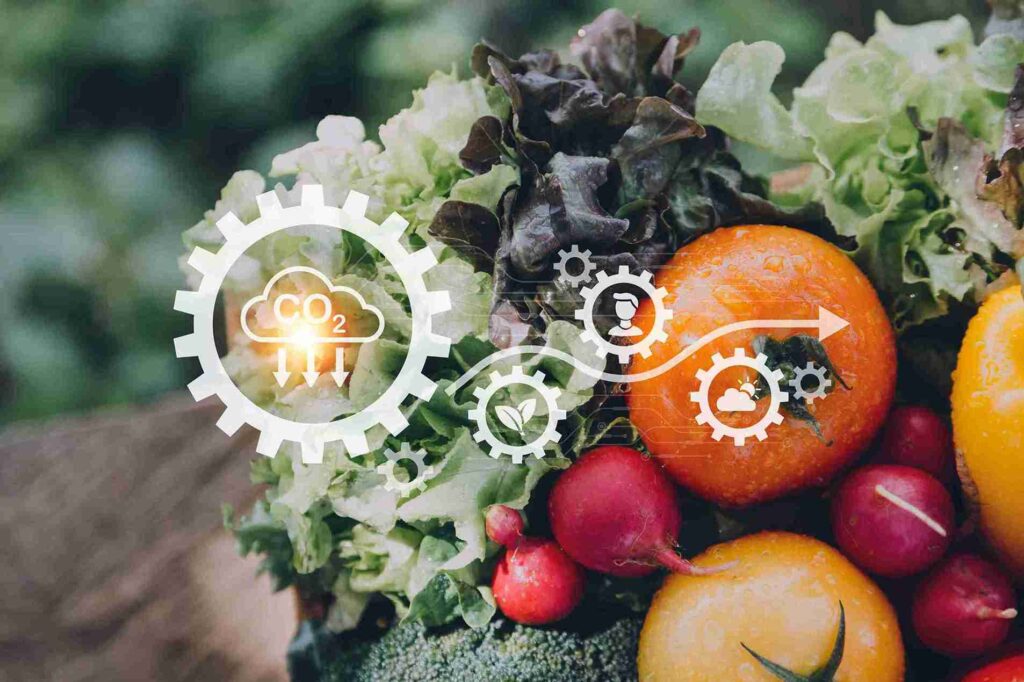 Circular economy in the food industry applied to the revalorization of borage by-products rich in polyphenols