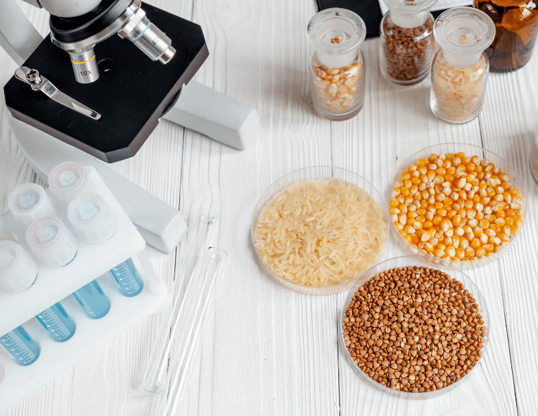 Análisis de alimentos en laboratorio: El valor nutricional de los alimentos analisis nutricional de alimentos en laboratorio