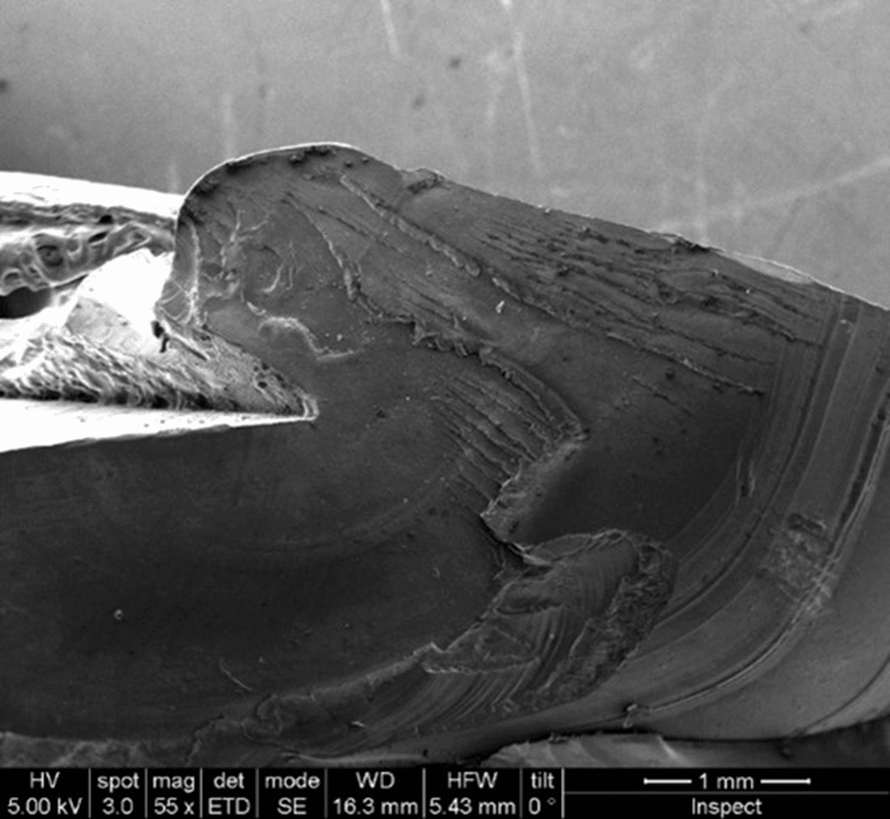 Surface texture and microstructure analysis Surface texture and microstructure analysis