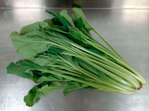 Casos de Éxito Fresh borage leaves on wooden surface used in the revalorization of by-products through polyphenol extraction