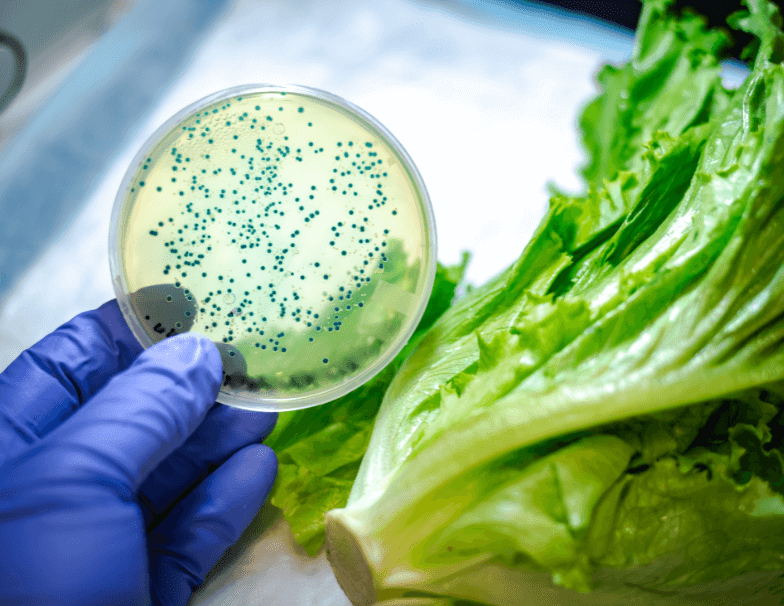 Detection of physical contaminants in materials Contaminantes físicos