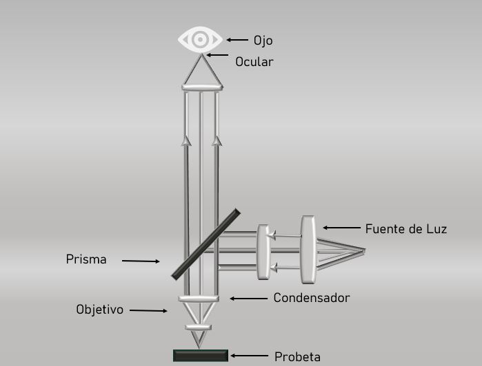 Microscopio Metalográfico