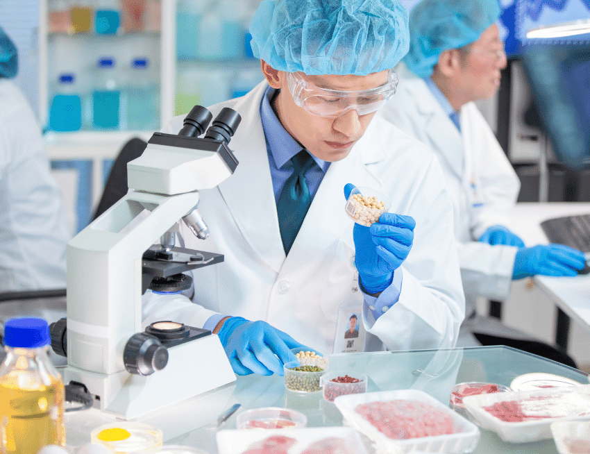 Food safety in industrial processes seguridad alimentaria industria